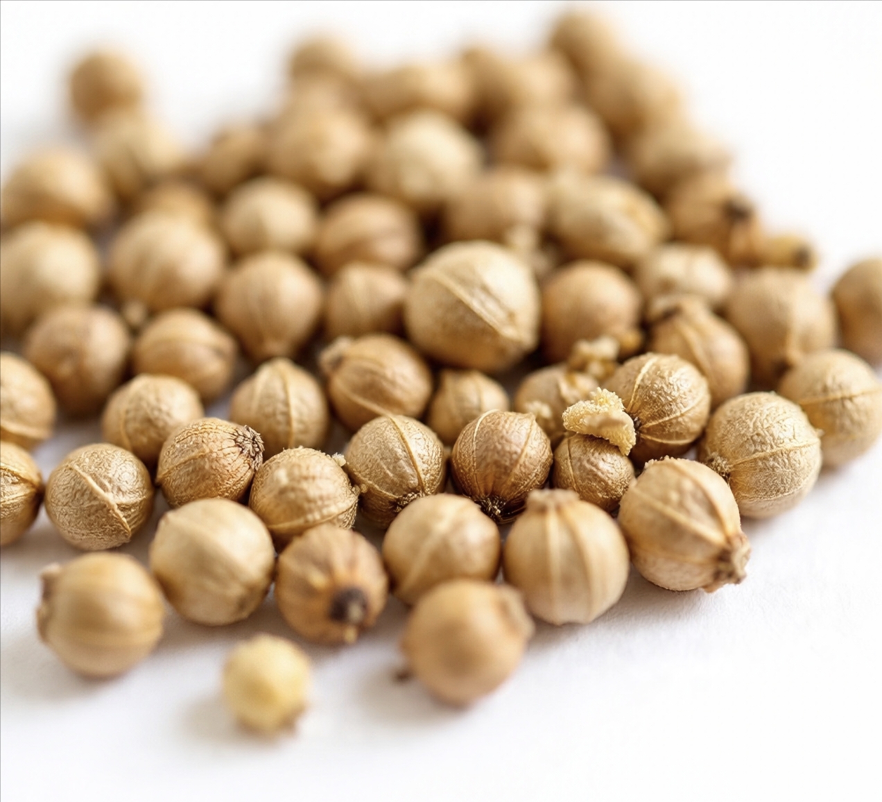 Organic Amaranth Seeds, Non-GMO Gluten-Free Superfood, Amaranth Grain | Vegan Pantry Essential